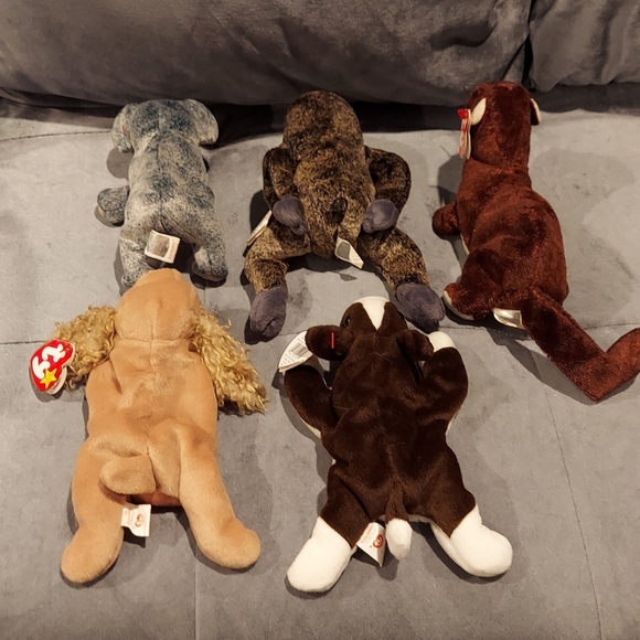 NWT TY TOYS RETIRED BEANIE BABY BUNDLE 5 BRUNO SPUNKY SLOWPOKE EUCALYPTUS RUNNER - Picture 10 of 12